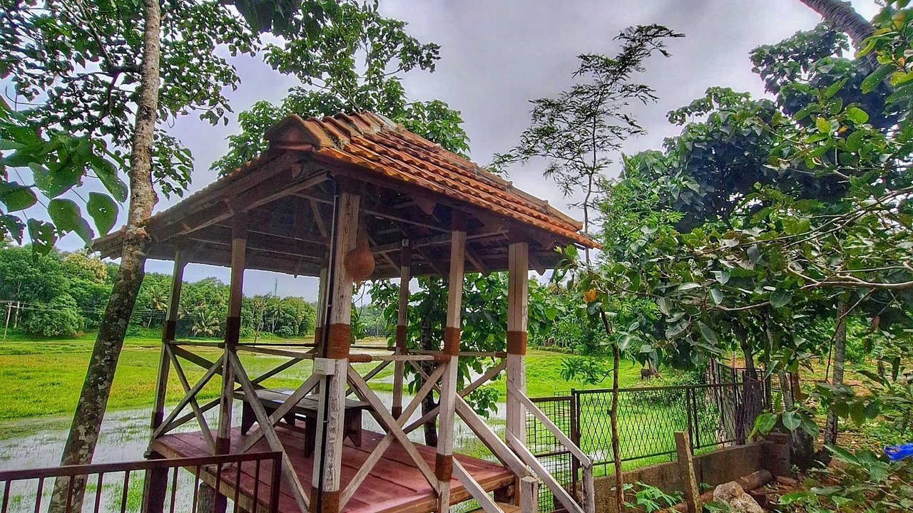 Photo of Outdoor in Chirayinkil
