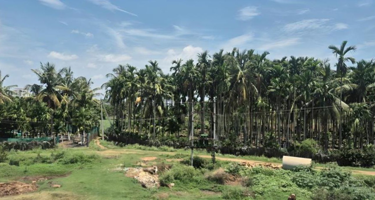 Photo of Others in Chikkamagaluru