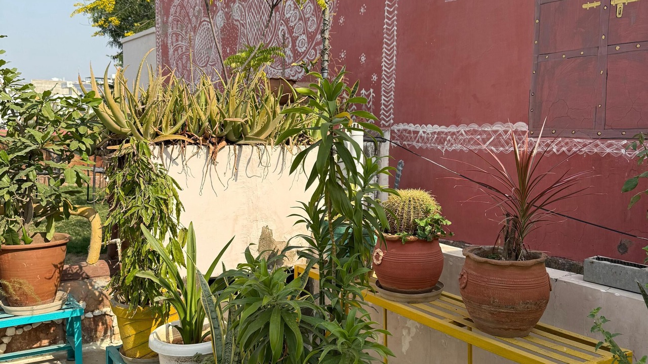 Photo of Others in Jaipur