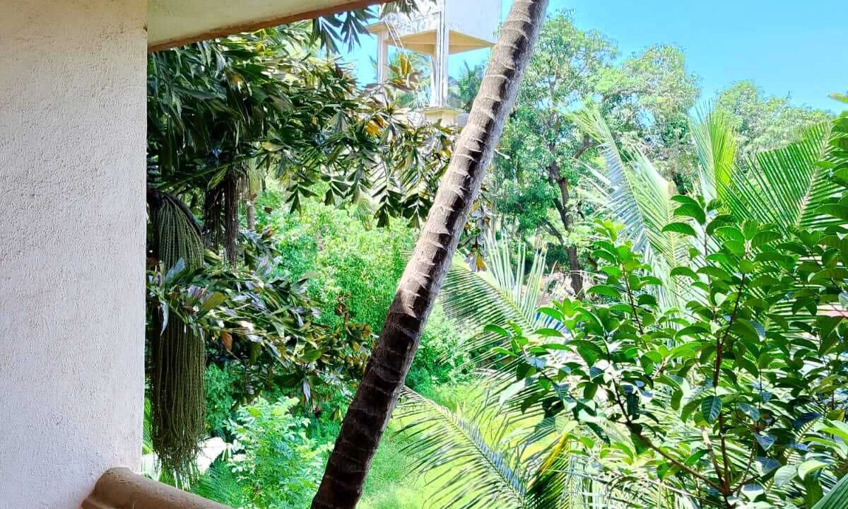 Photo of Outdoor in Morjim