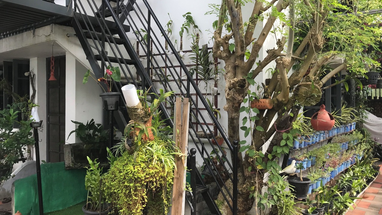 Photo of Outdoor in Kochi