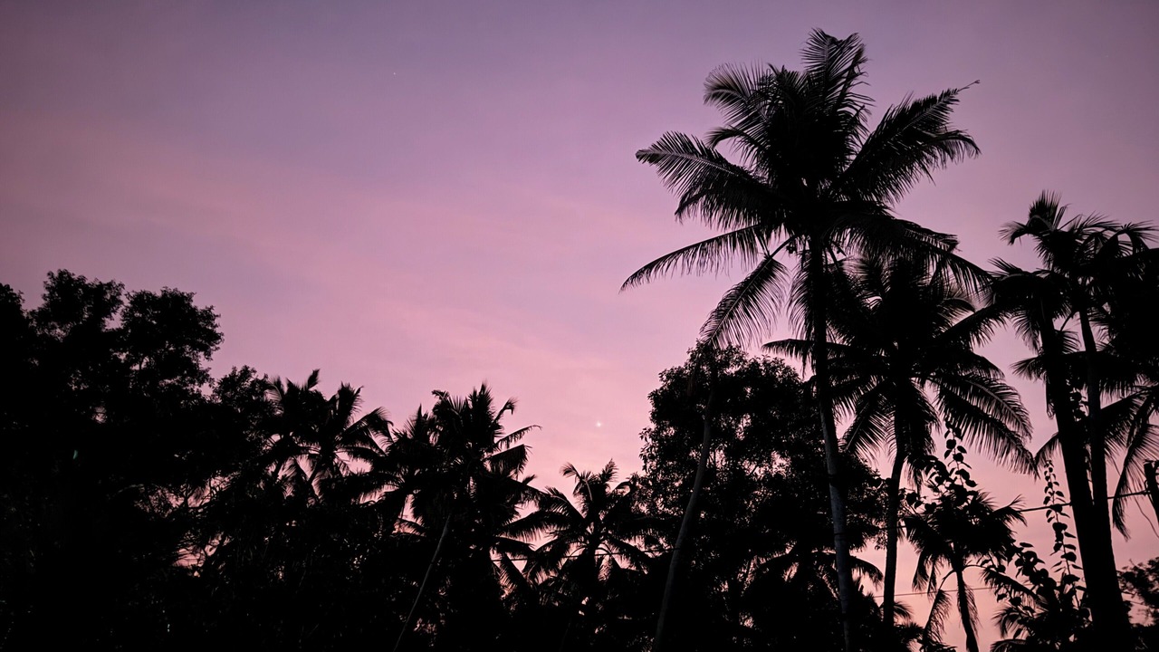 Photo of Others in Mararikulam