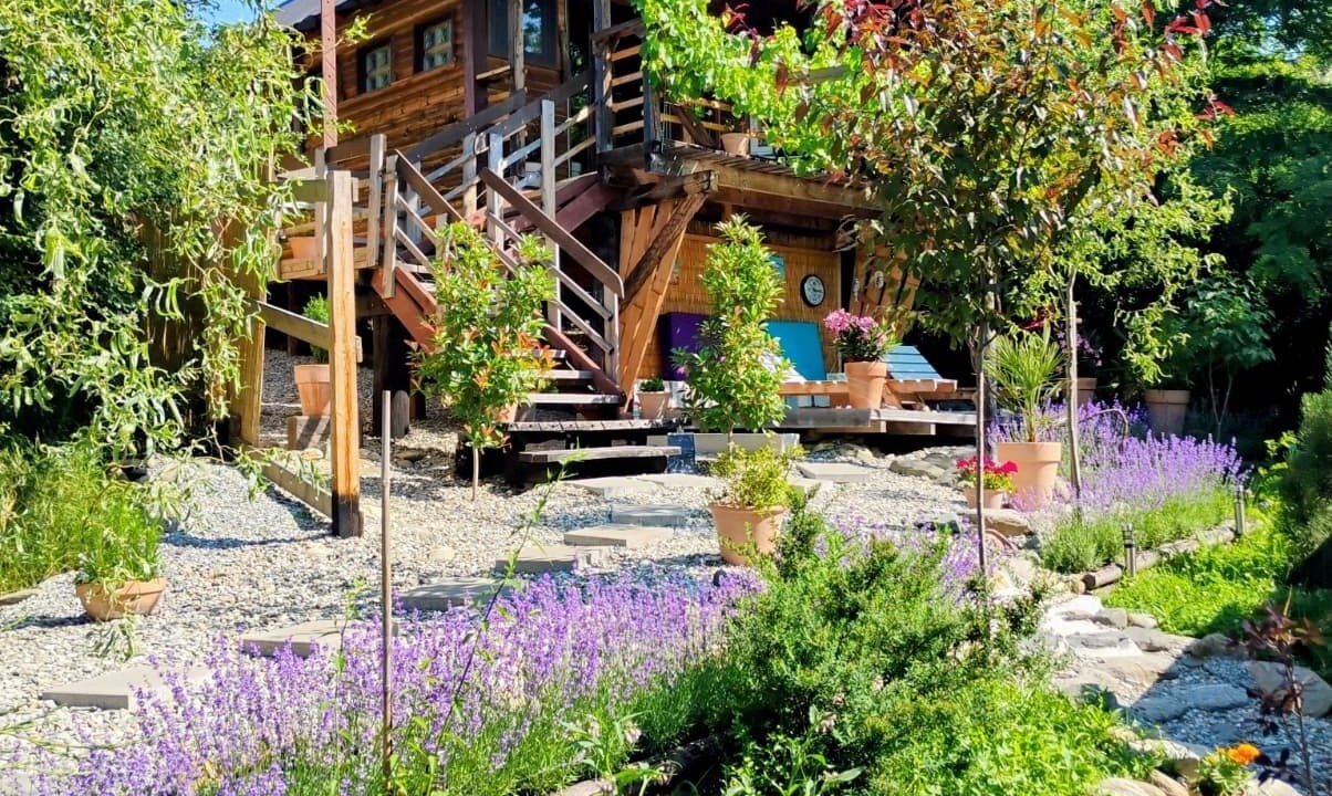 Photo of Outdoor in Avrig