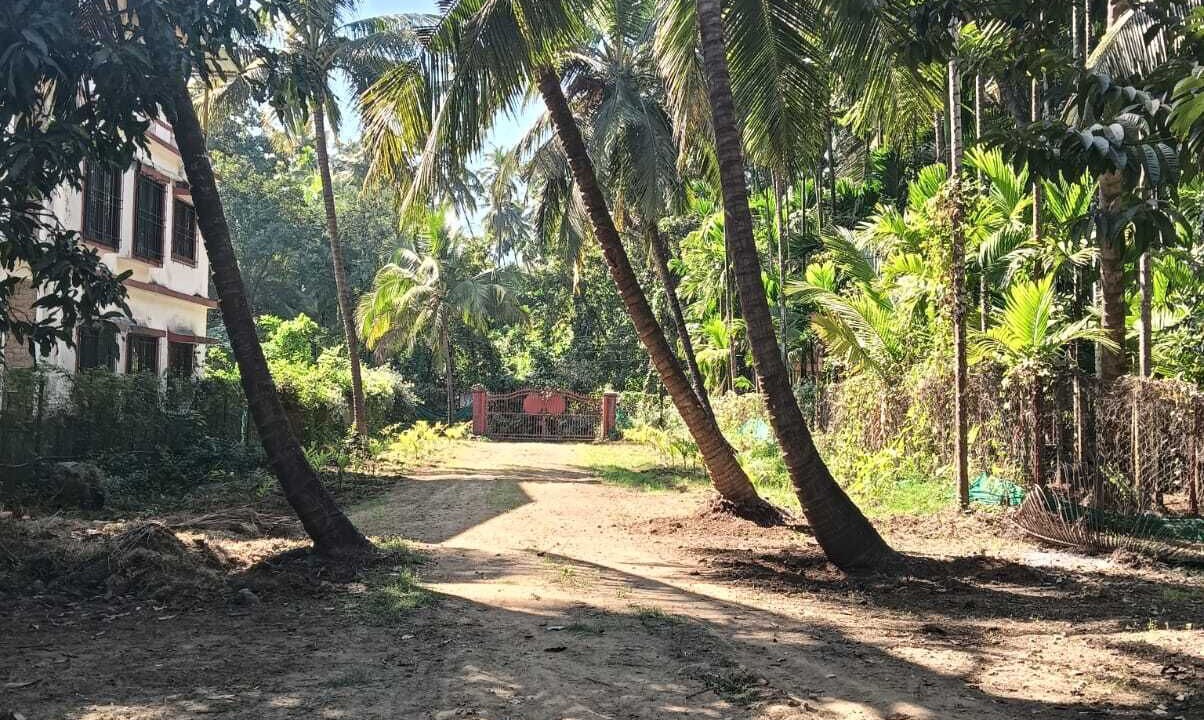 Photo of Others in Alibaug