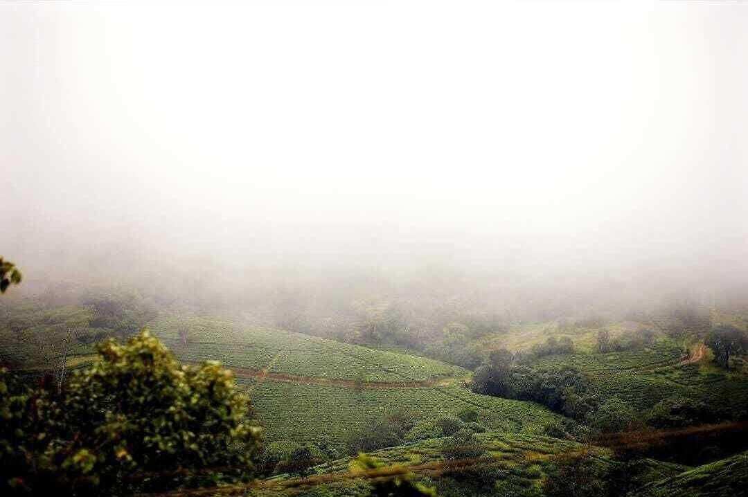 Photo of Others in Vagamon