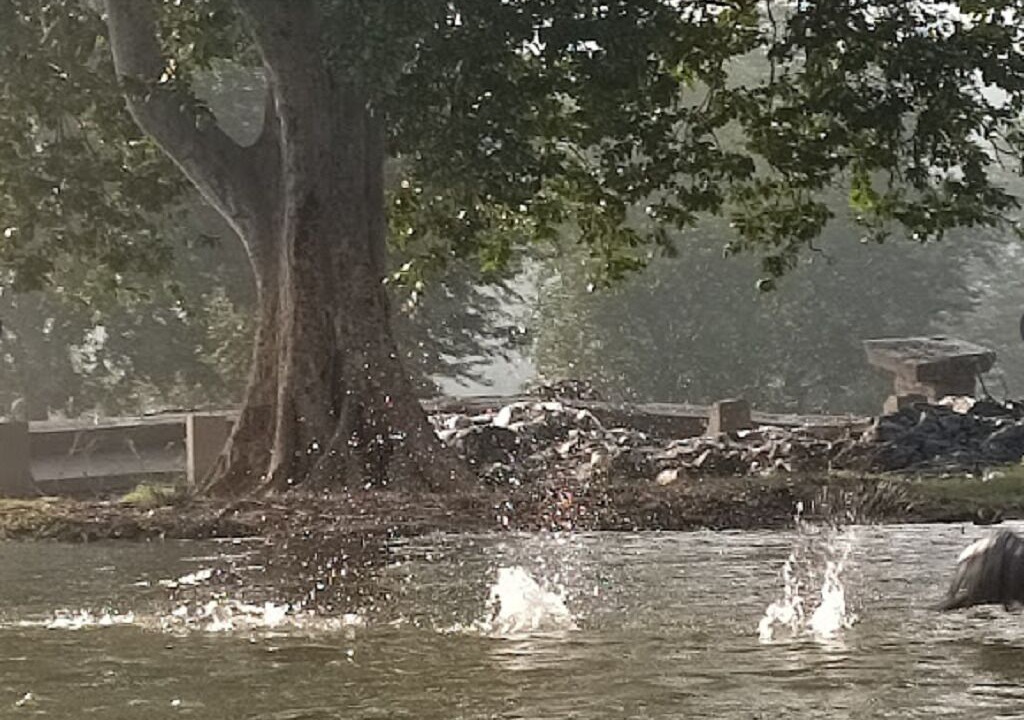 Photo of Others in Hogenakkal