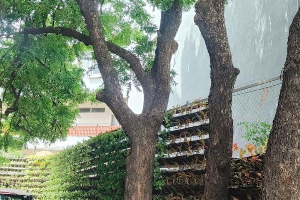 Photo of Outdoor in Jubilee Hills