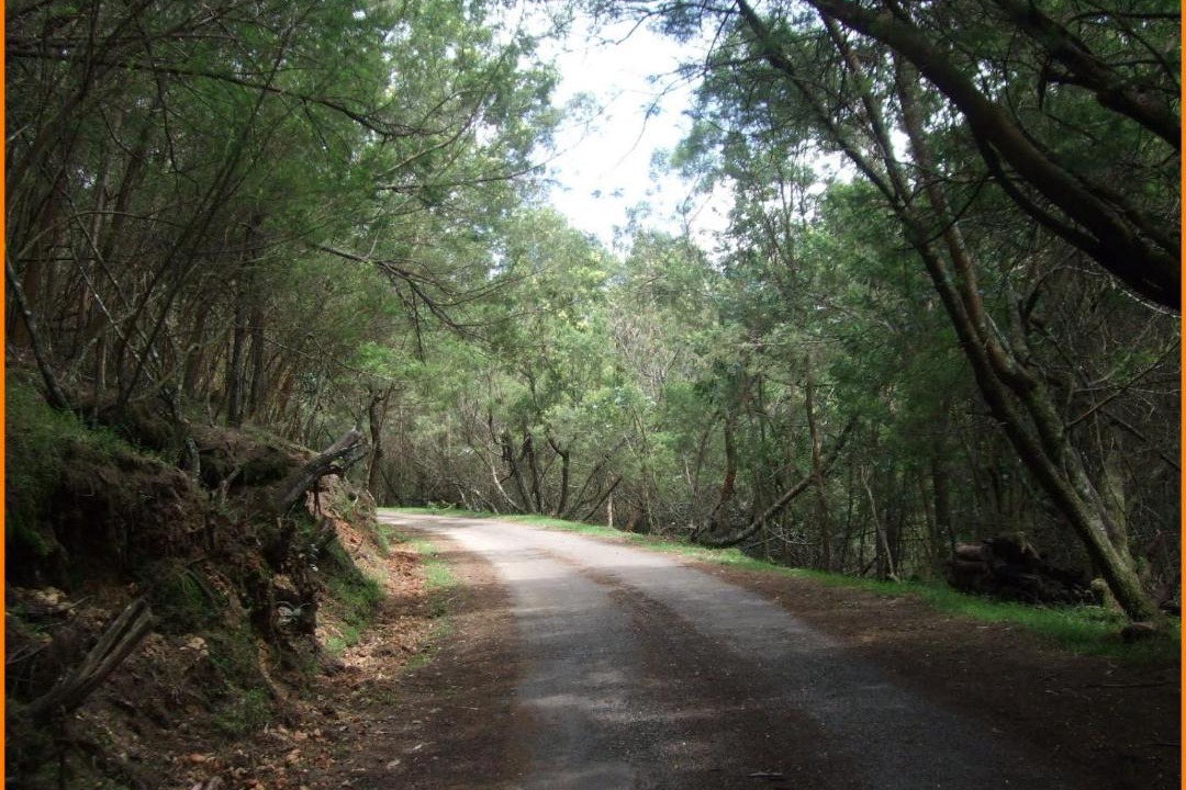 Photo of Outdoor in Mannarkkad