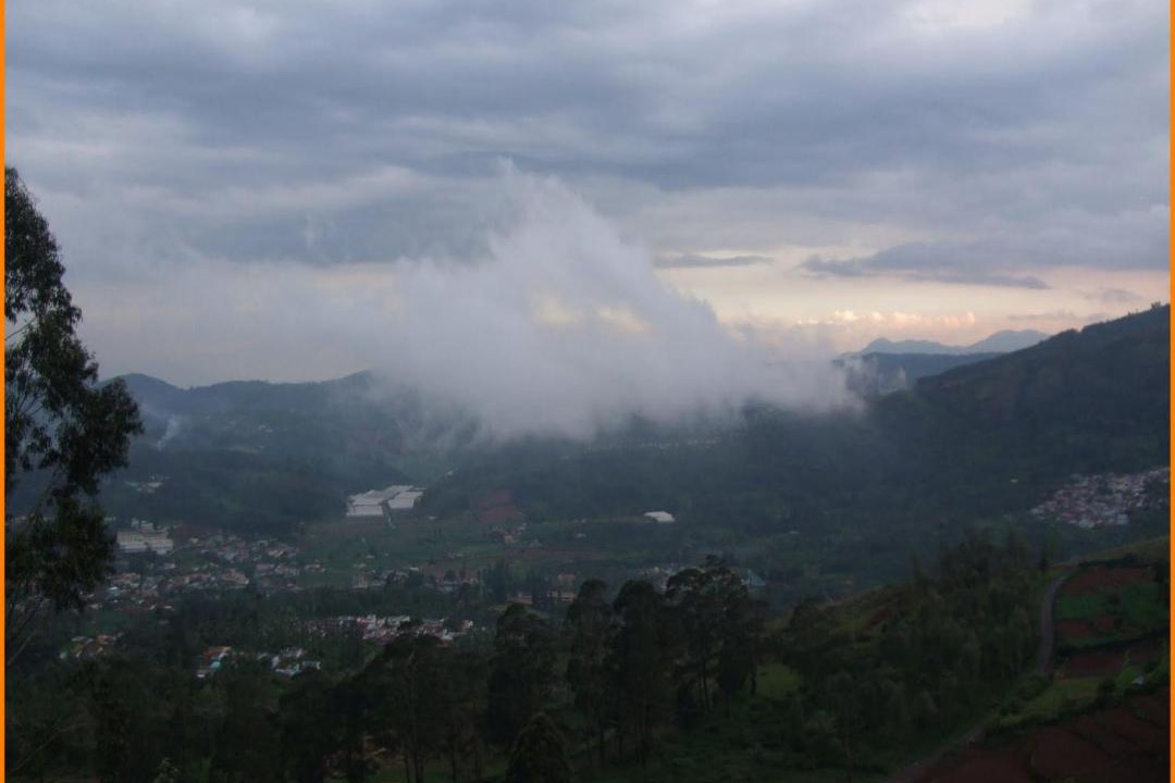 Photo of Others in Mannarkkad