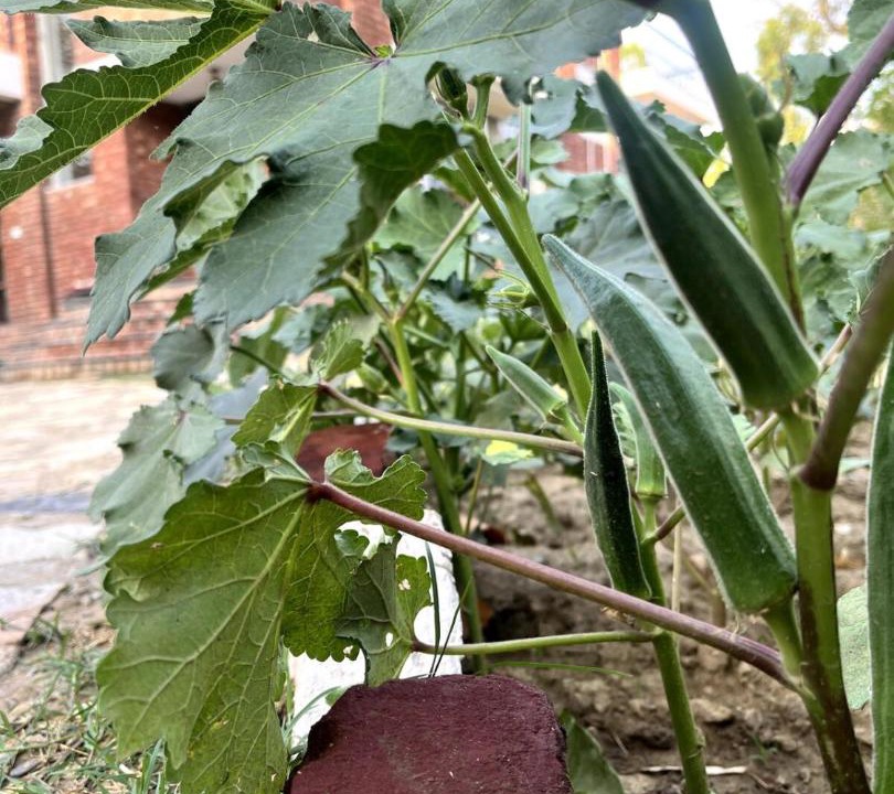 Photo of Outdoor in Bullawala
