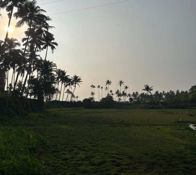 Photo of Others in Varkala