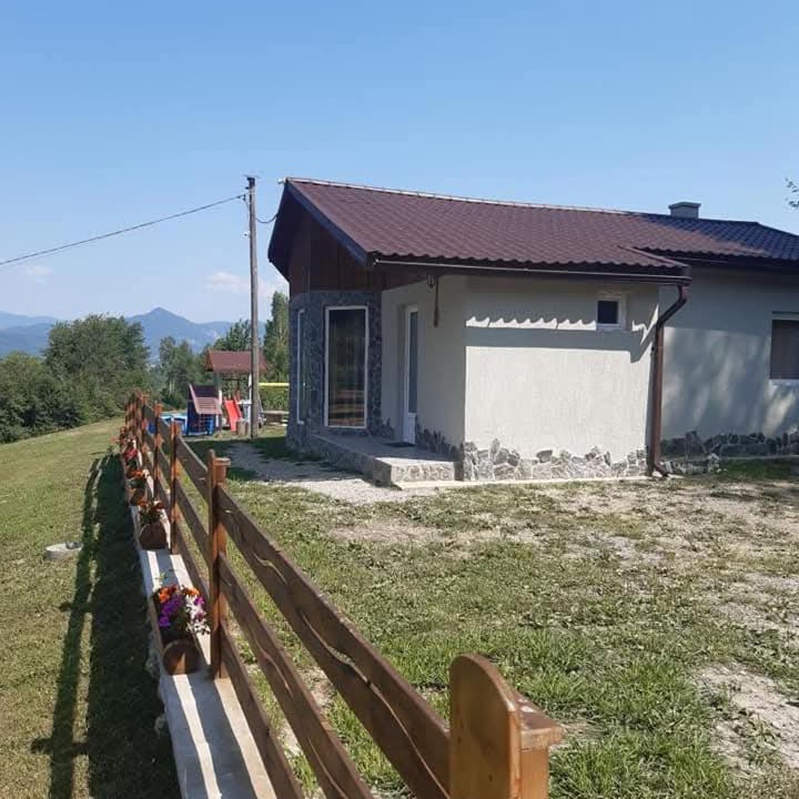 Photo of Others in Petrosani