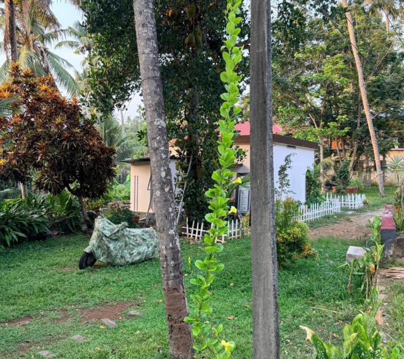 Photo of Others in Varkala