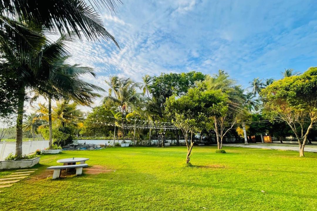 Photo of Others in Kozhikode