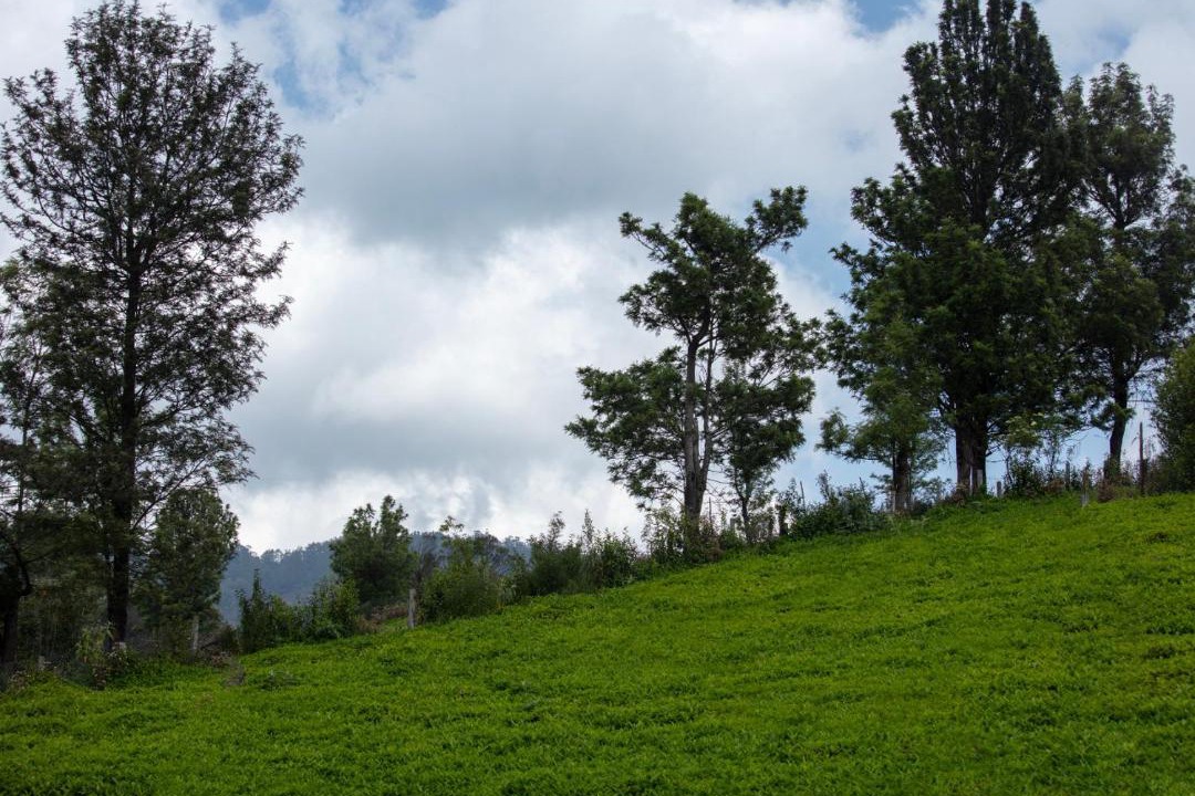Photo of Others in Ooty