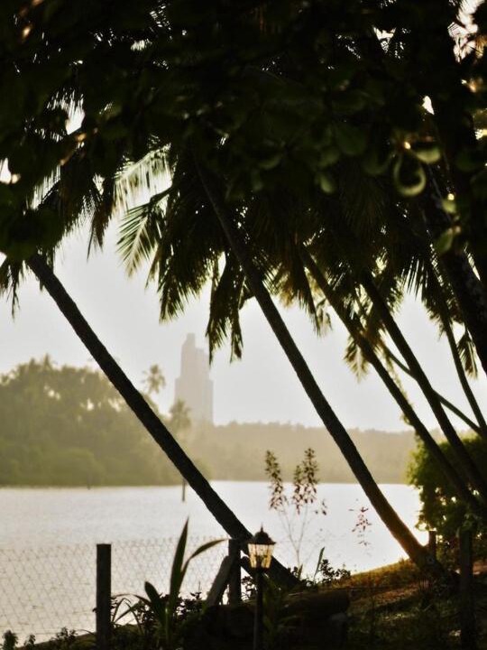 Photo of Others in Kozhikode