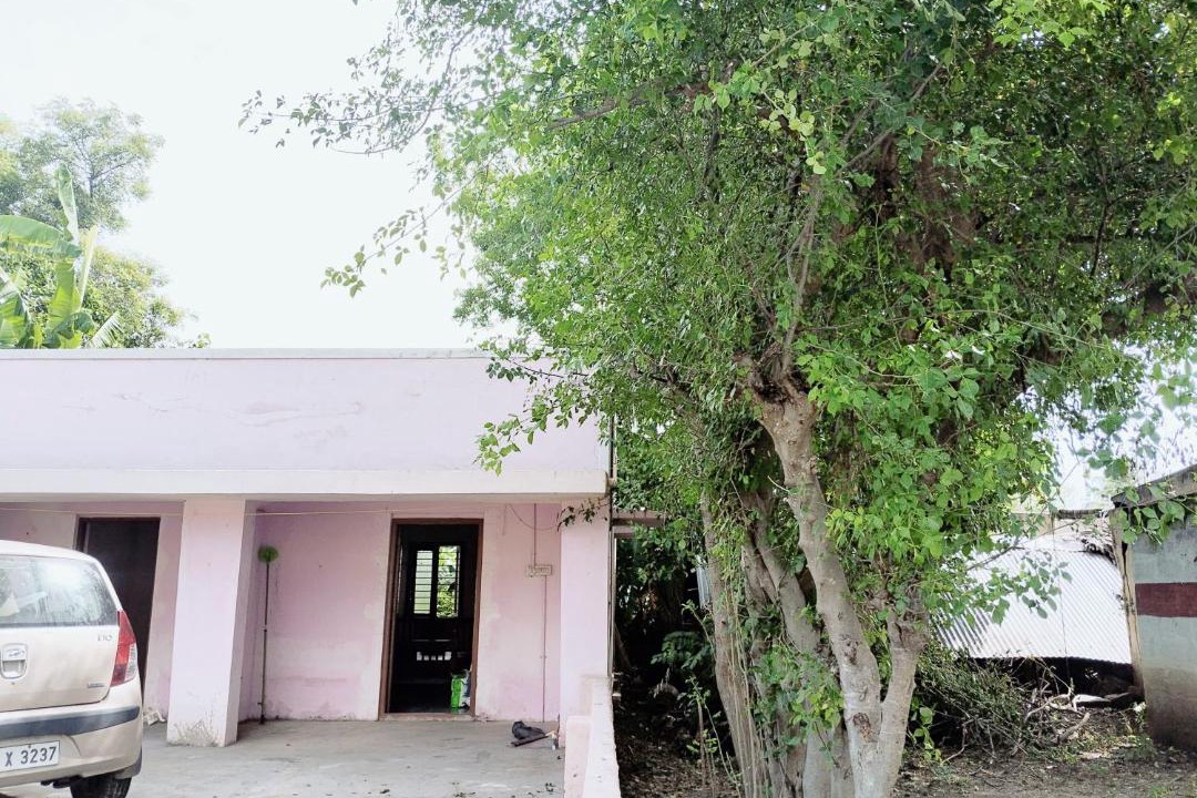 Photo of Others in Tiruvannamalai