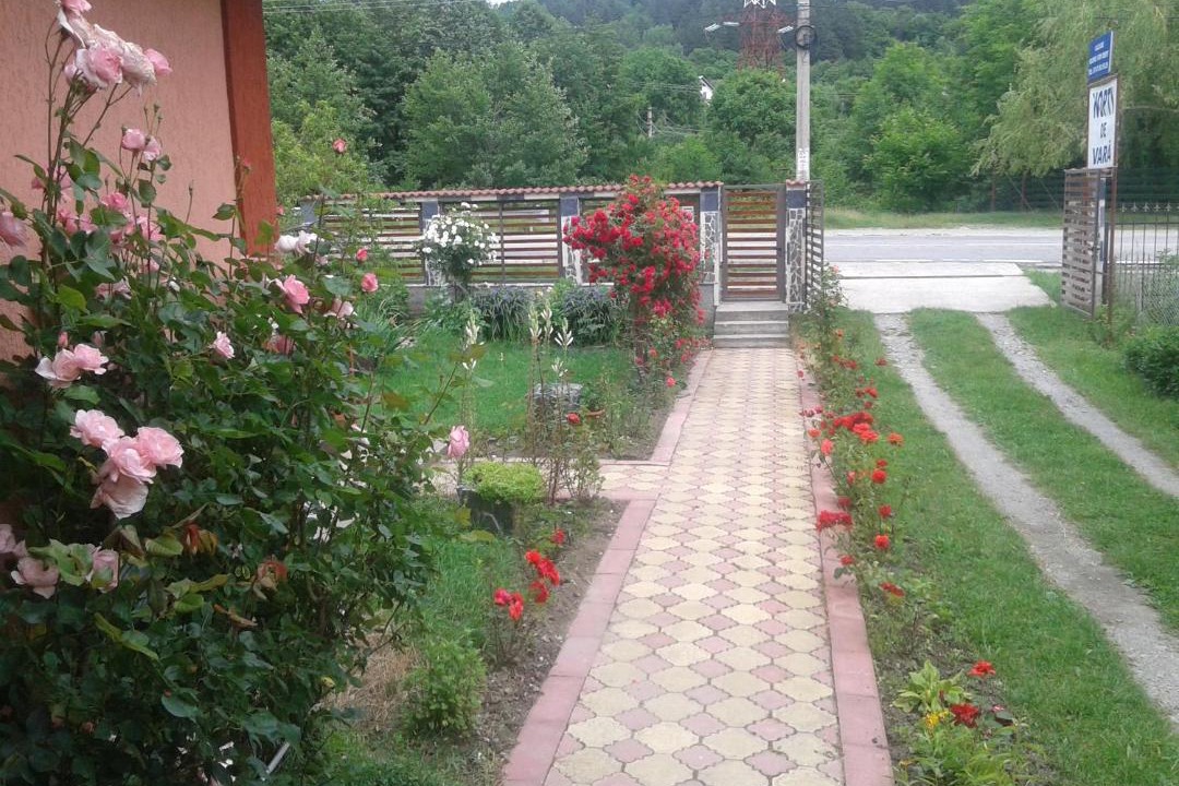Photo of Others in Capatineni-Ungureni