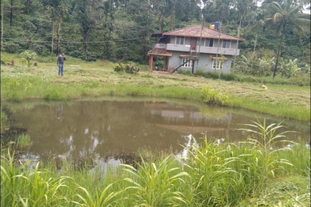 Photo of Others in Madikeri