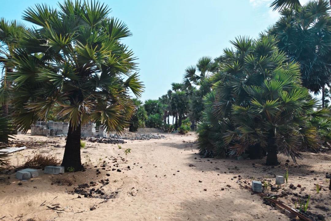 Photo of Others in Mudukulattur