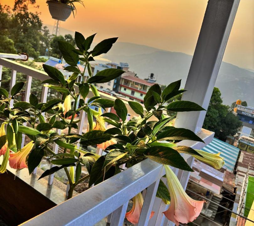 Photo of Patio Balcony in Wai