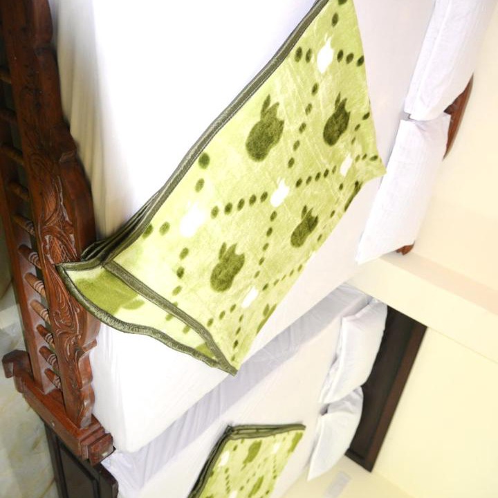 Photo of Bedroom in Mysore