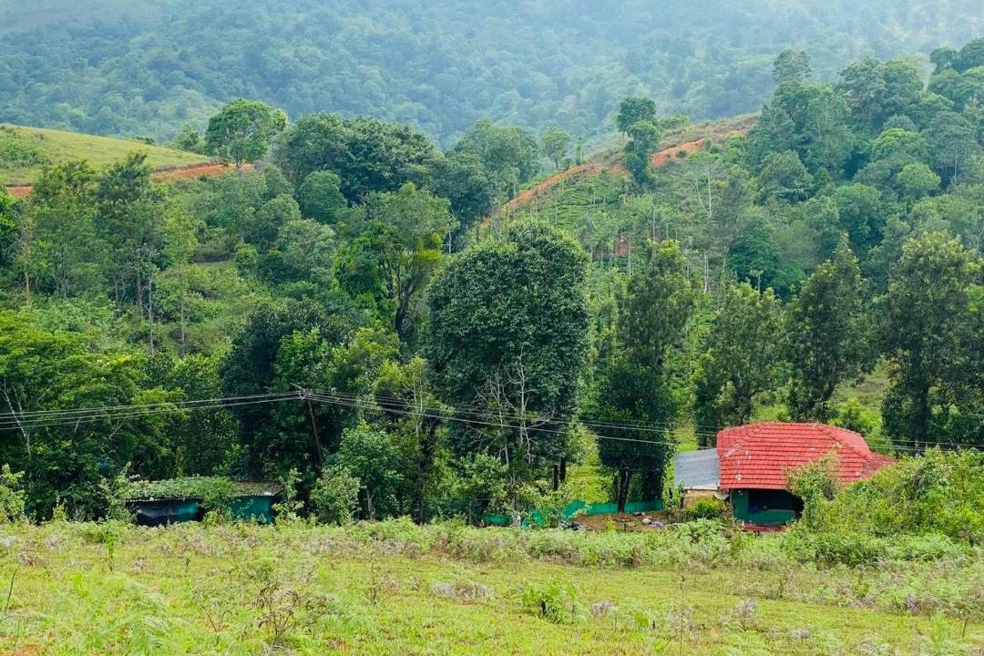 Photo of Others in Gudalur