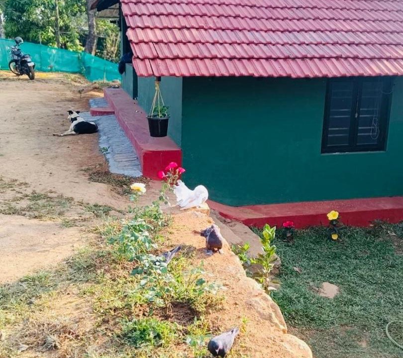 Photo of Others in Gudalur