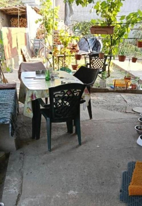 Photo of Others in Sulina