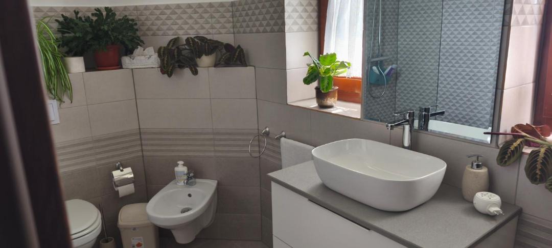 Photo of Bathroom in Avrig