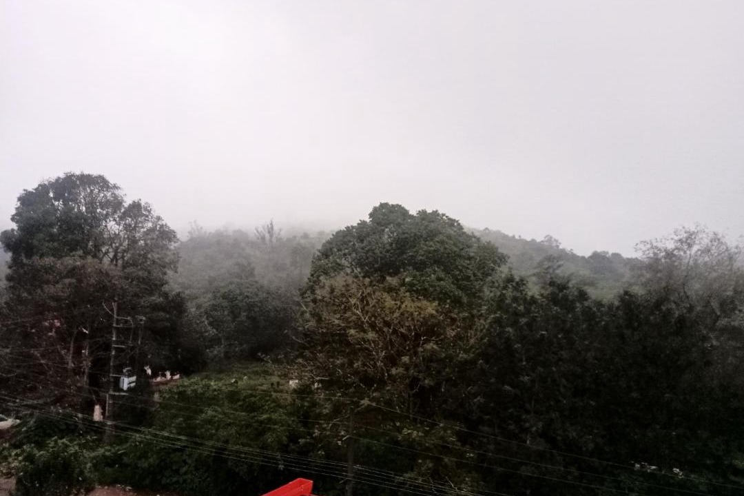 Photo of Others in Stuart Hill