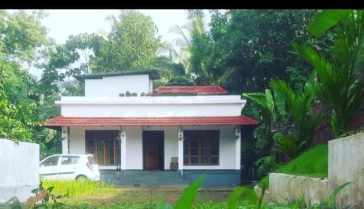 Photo of Others in Talipparamba
