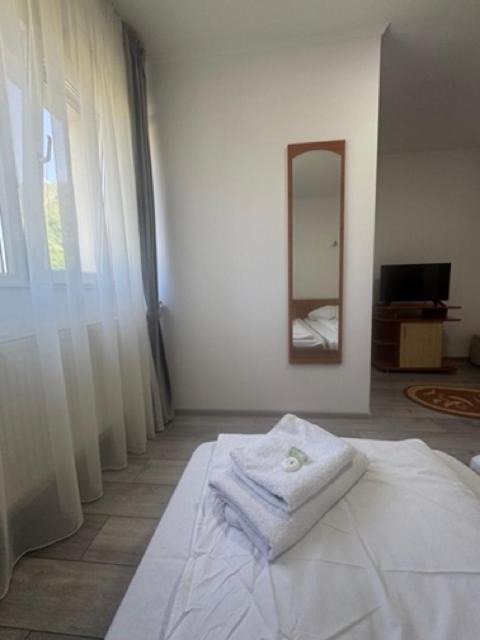 Photo of Bedroom in Brezoi
