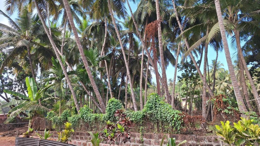 Photo of Others in Ratnagiri