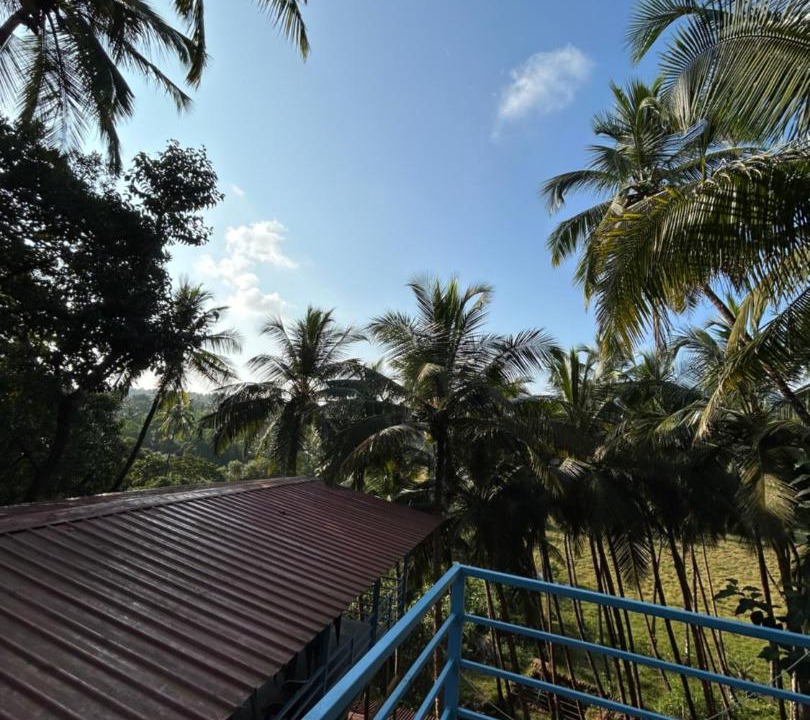 Photo of Others in Agonda