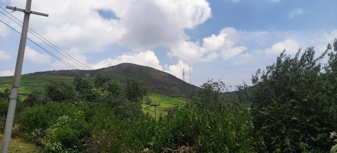 Photo of Others in Ooty