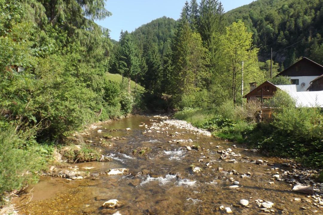 Photo of Others in Garda de Sus