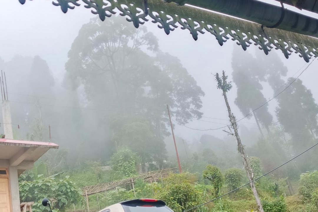 Photo of Others in Darjeeling