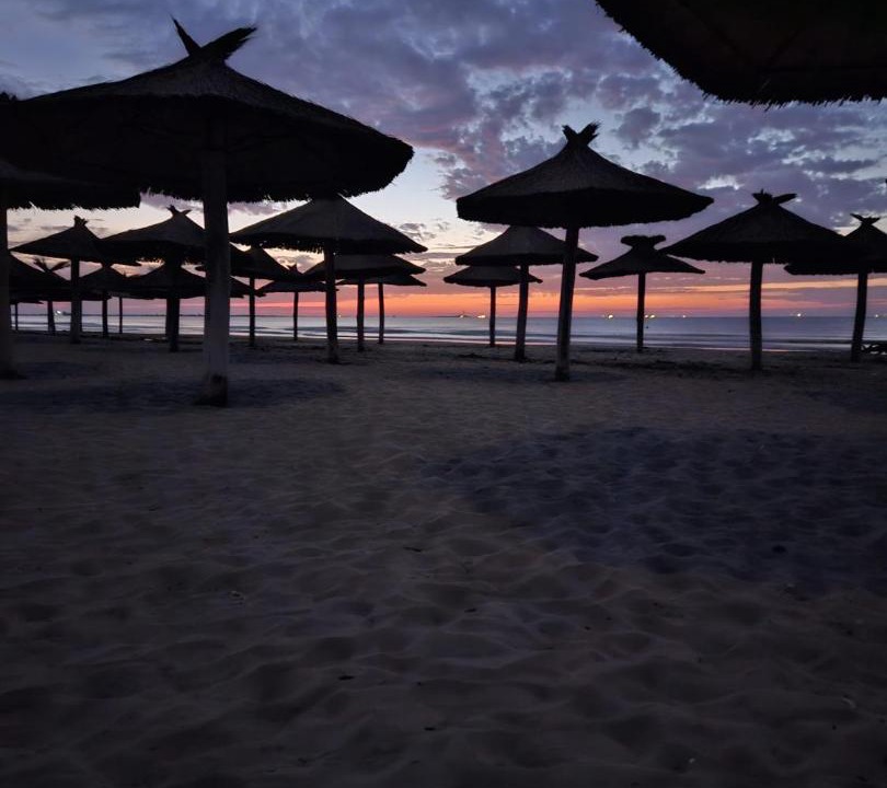 Photo of Others in Sulina