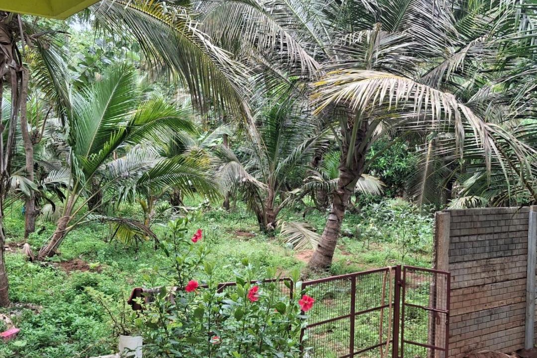 Photo of Others in Ganapathichettikulam
