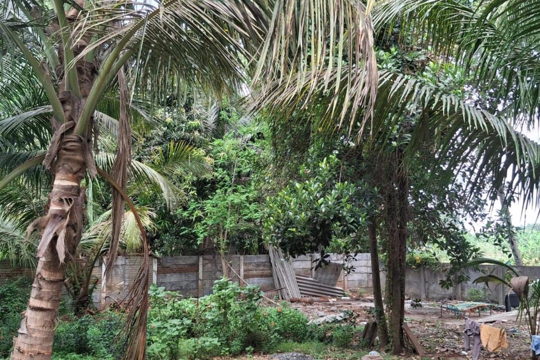 Photo of Others in Ganapathichettikulam