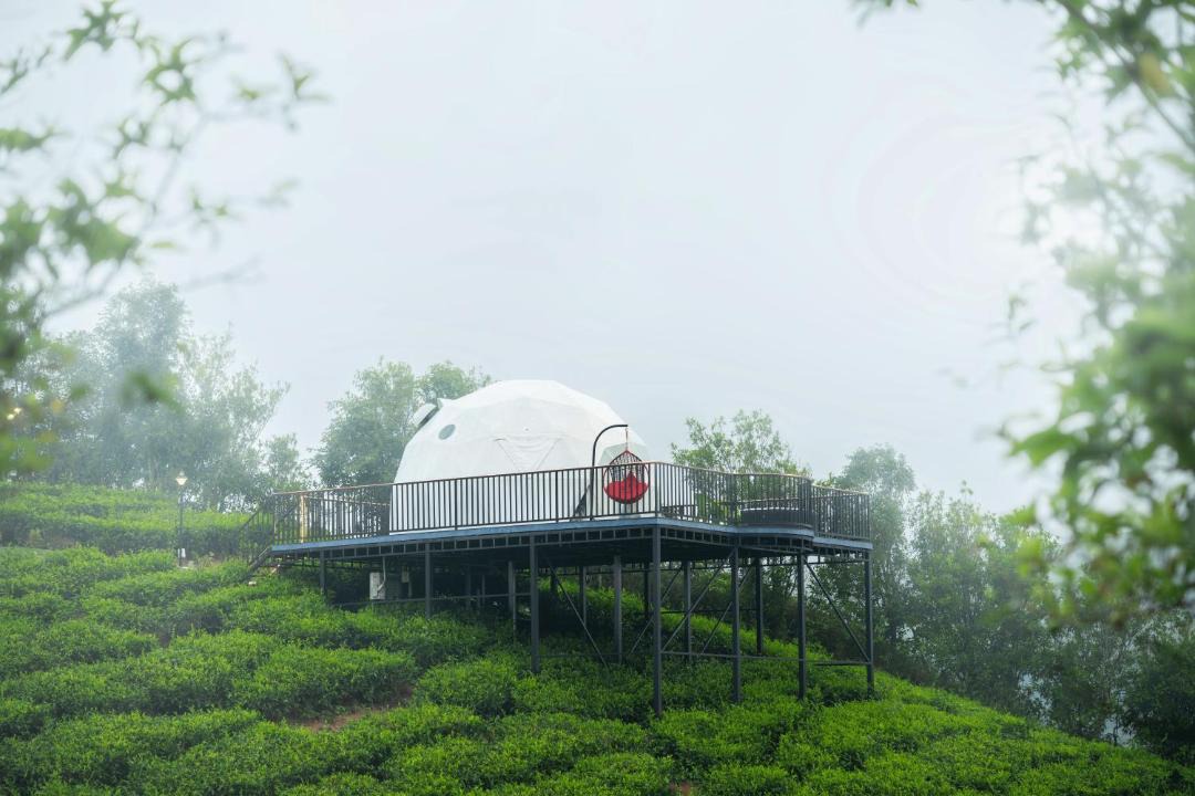 Photo of Others in Vagamon
