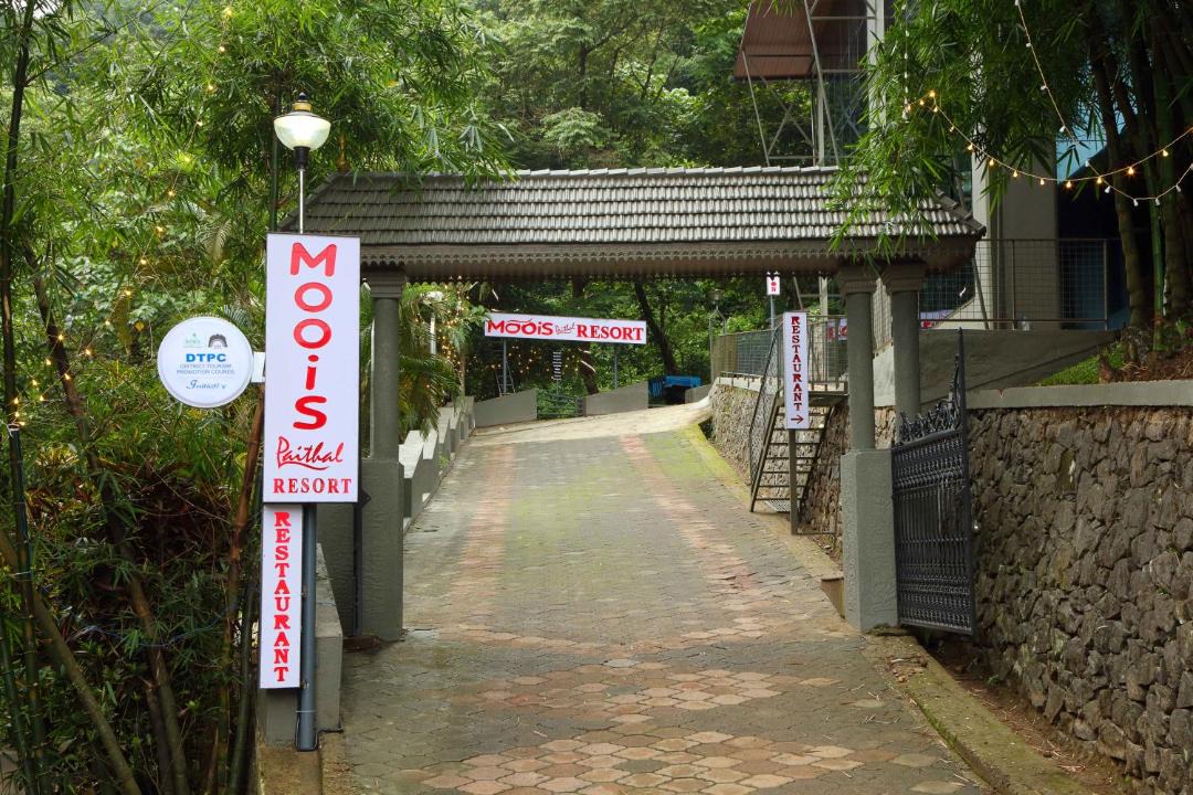 Photo of Others in Talipparamba