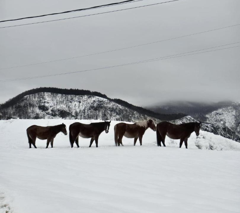 Photo of Others in Ponor