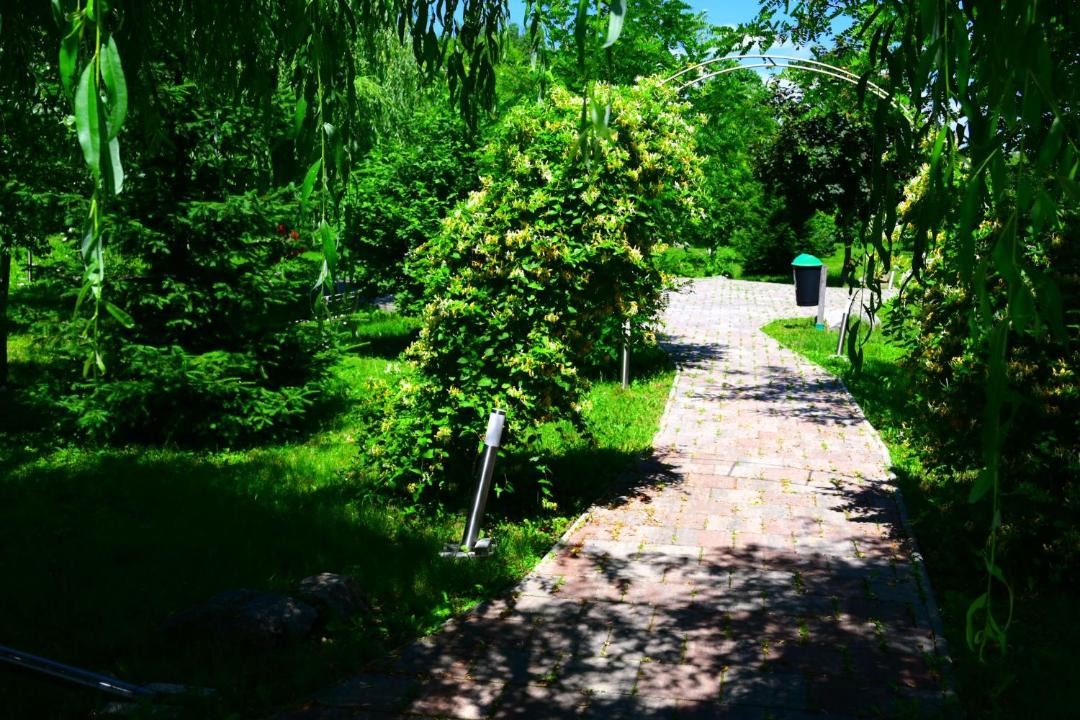 Photo of Outdoor in Traian