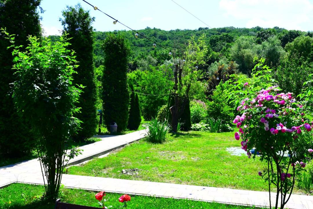 Photo of Others in Traian