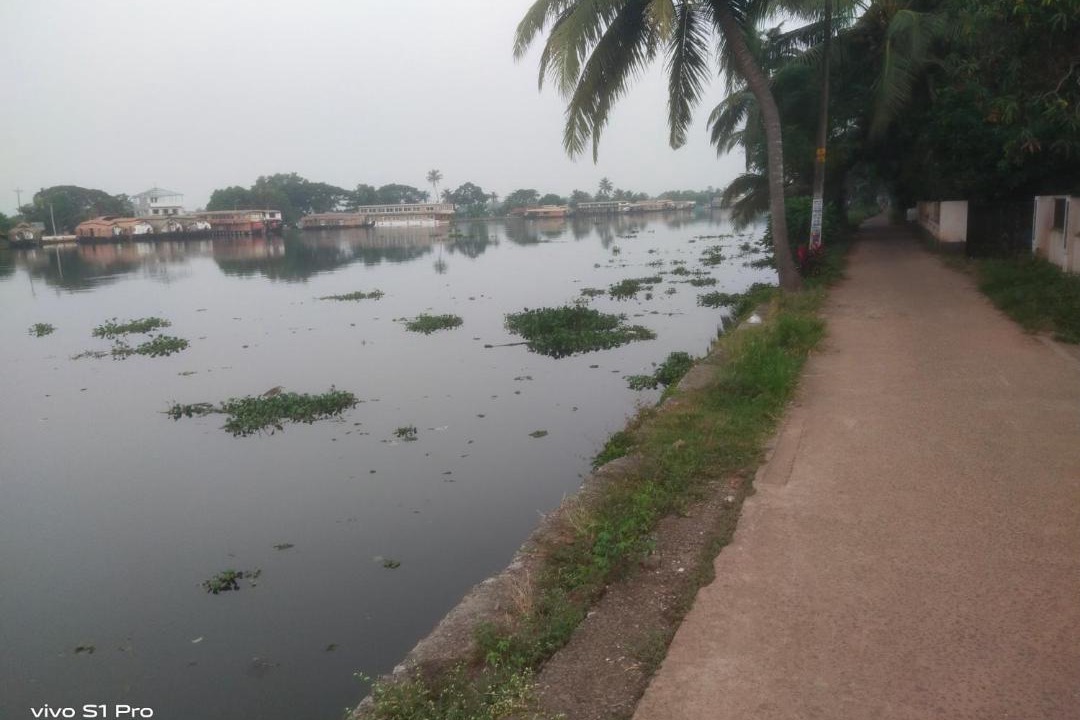 Photo of Others in Nedumudy