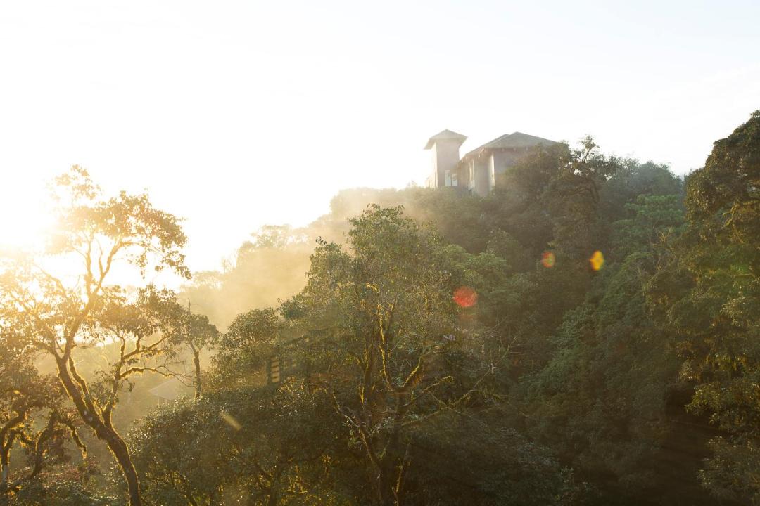 Photo of Others in Madikeri