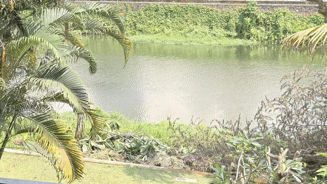 Photo of Others in Kochi