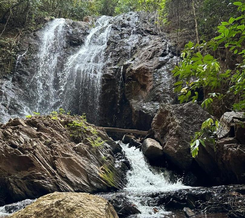Photo of Others in Chikkamagaluru